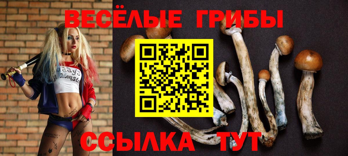 Псилоцибиновые грибы мухоморы  Вход с VPN  Галлюциногенные грибы Magic Shrooms  Карачаевск 